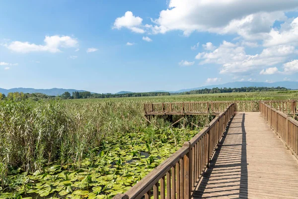 Duzce, Turkey- Ausugust 2022; A pleasant trip to Efteni lake. Efteni lake is quite a visit to the stream. 