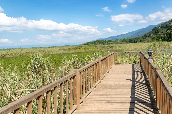 Duzce, Turkey- Ausugust 2022; A pleasant trip to Efteni lake. Efteni lake is quite a visit to the stream. 