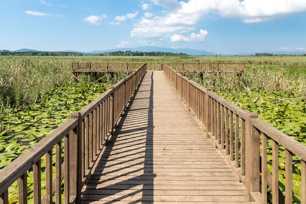 Duzce, Turkey- Ausugust 2022; A pleasant trip to Efteni lake. Efteni lake is quite a visit to the stream. 