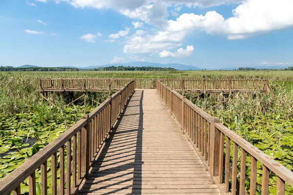 Duzce, Turkey- Ausugust 2022; A pleasant trip to Efteni lake. Efteni lake is quite a visit to the stream. 