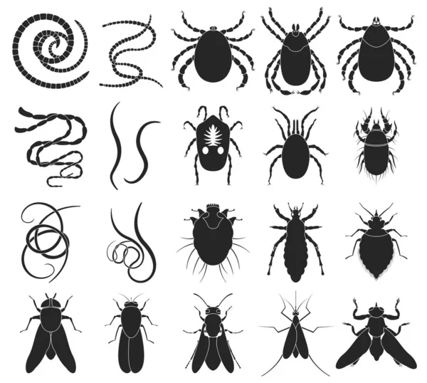 Паразит вектор чорний набір значок. Векторні ілюстрації комах на білому тлі. Ізольований чорний набір піктограм паразит . Стокова Ілюстрація