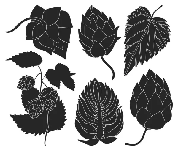 Hoppa vektor svart set ikon. Isolerad svart set ikon humulus. vektor illustration hop på vit bakgrund. — Stock vektor