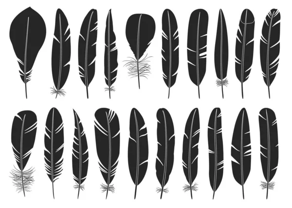 Veer van vogel zwarte vector set illustratie van icon.Veer patroon vector set van icon.Set illustratie pen van vogel op witte achtergrond. — Stockvector