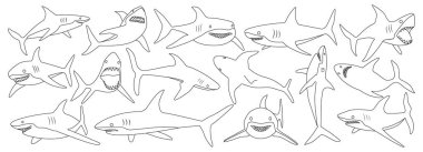 Deniz köpekbalığı vektör ana hatları simge belirlendi. Beyaz zemin üzerinde köpek balığının vektör çizimi. İzole edilmiş ana hatlı ikon okyanus hayvanı..