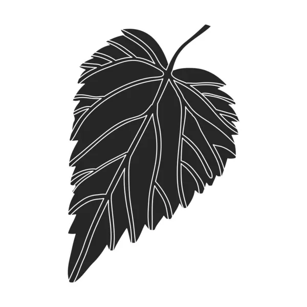 Hoppa vektor svart ikon. Isolerad svart illustration ikon humulus. vektor illustration hop på vit bakgrund. — Stock vektor