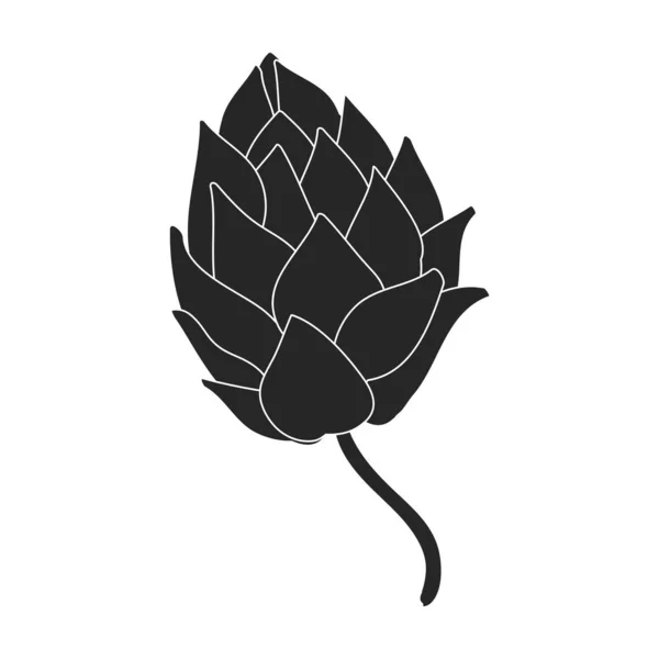 Hop vector black icon. Isolated black illustration icon humulus. Vector illustration hop on white background. — Stock Vector