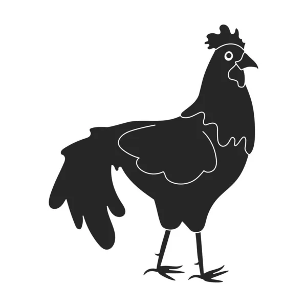 Cazzo di animale nero vettore icon.Black vettore illustrazione gallo. Illustrazione isolata dell'icona del gallo di gallo su sfondo bianco. — Vettoriale Stock