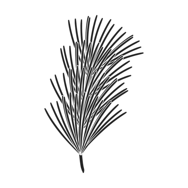 Twig pine geïsoleerde zwarte icoon. Vector illustratie sparren takje dennen op witte achtergrond. Vector zwart illustratie pictogram boom naaldboom. — Stockvector