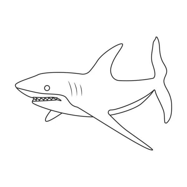Haj kontur vektor ikon.Disposition vektor illustration fisk i havet. Isolerad illustration av haj ikon på vit bakgrund. — Stock vektor