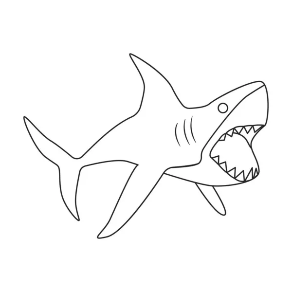 Image vectorielle de contour de requin. Illustration vectorielle de contour de poisson de mer. Illustration isolée de l'icône du requin sur fond blanc. — Image vectorielle