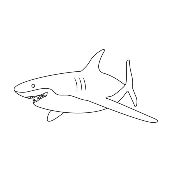 Haj kontur vektor ikon.Disposition vektor illustration fisk i havet. Isolerad illustration av haj ikon på vit bakgrund. — Stock vektor