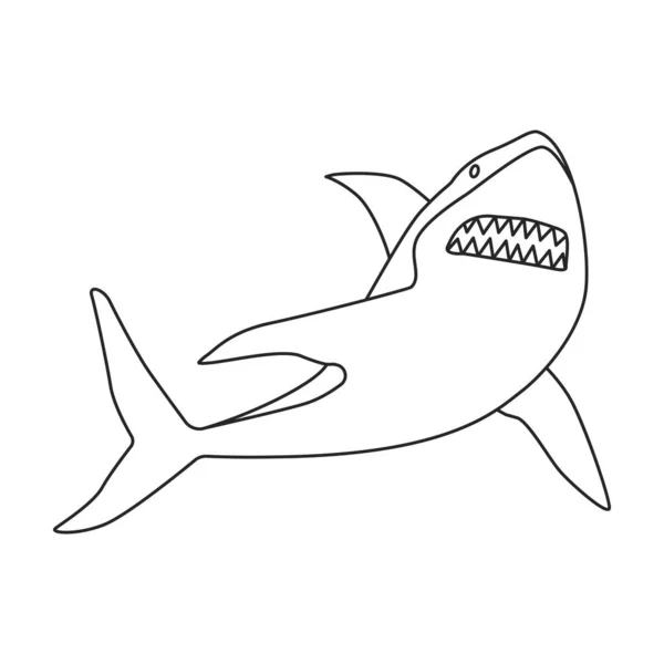 Shark outline vector icon.Outline vector illustration fish of sea. Isolated illustration of shark icon on white background. — Stock Vector