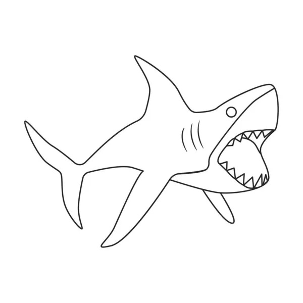 Иконка вектора контура акулы. Контур векторной иллюстрации рыбы моря. Изолированная иллюстрация иконы акулы на белом фоне. Стоковый вектор