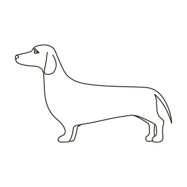 Dachshund vektör simgesi. Taslak vektör simgesi beyaz arkaplan dachshund üzerinde izole edildi.