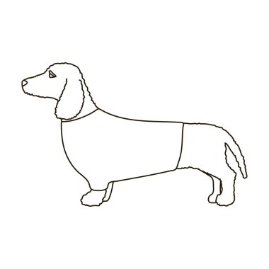 Dachshund vektör simgesi. Taslak vektör simgesi beyaz arkaplan dachshund üzerinde izole edildi.