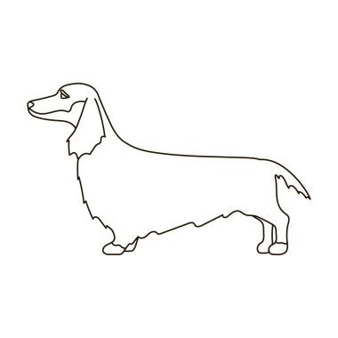 Dachshund vektör simgesi. Taslak vektör simgesi beyaz arkaplan dachshund üzerinde izole edildi.