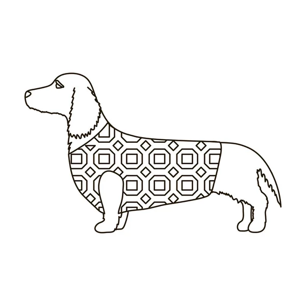 Dachshund vector icon.Outline icono de vector aislado sobre fondo blanco dachshund. — Vector de stock