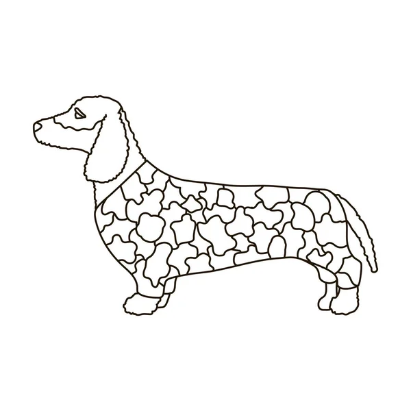 Dachshund vetor icon.Outline vetor ícone isolado no fundo branco dachshund. — Vetor de Stock