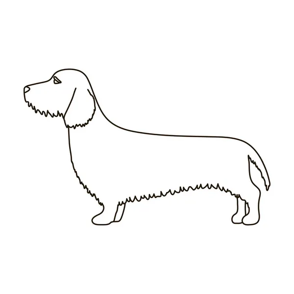 Icône vectorielle Dachshund. Icône vectorielle contour isolé sur fond blanc teckel. — Image vectorielle