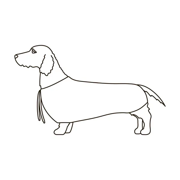 Dachshund vector icon.Outline icono de vector aislado sobre fondo blanco dachshund. — Vector de stock