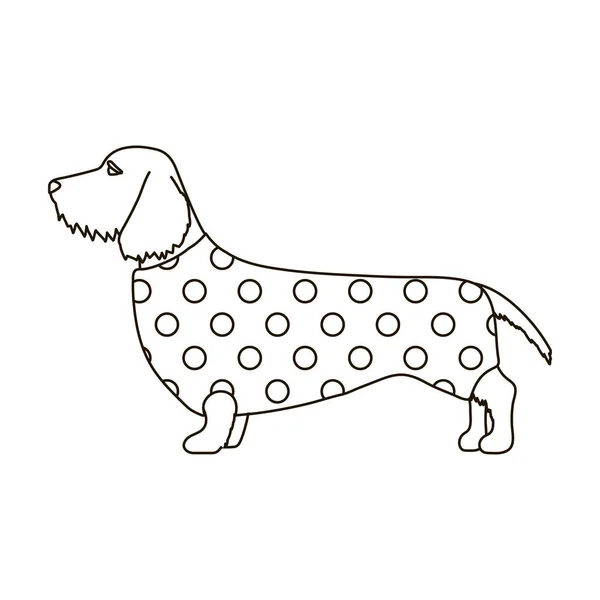 Icône vectorielle Dachshund. Icône vectorielle contour isolé sur fond blanc teckel. — Image vectorielle