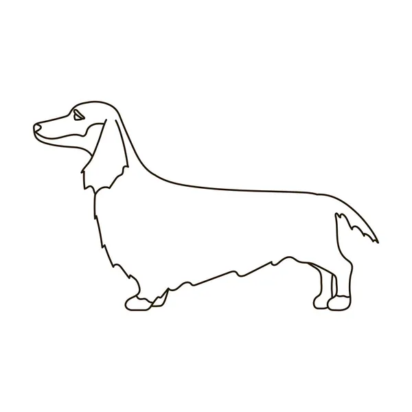 Dachshund vector icon.Outline icono de vector aislado sobre fondo blanco dachshund. — Archivo Imágenes Vectoriales