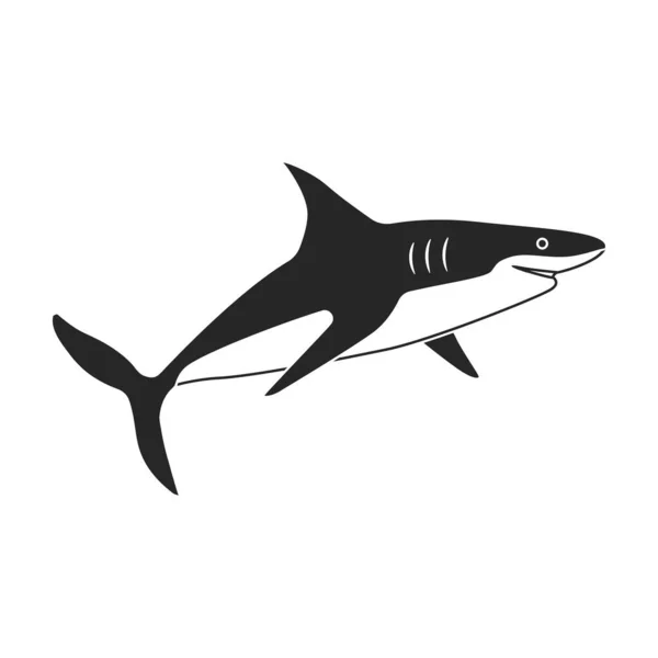 Köpekbalığı siyah vektör simgesi. Denizin siyah vektör illüstrasyon balığı. Beyaz arkaplanda köpek balığı simgesinin izole bir çizimi. — Stok Vektör