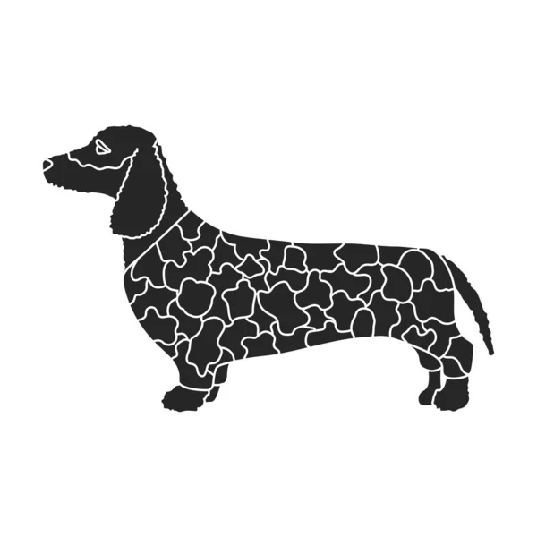 Dachshund vector icon.Black icono vectorial aislado sobre fondo blanco dachshund. — Archivo Imágenes Vectoriales