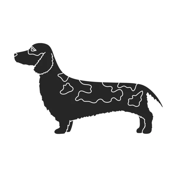 Dachshund vektör simgesi. Siyah vektör simgesi beyaz arkaplan dachshund üzerinde izole edildi. — Stok Vektör