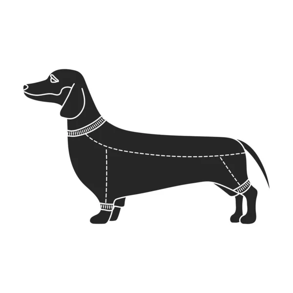 Dachshund矢量图标。白色背景Dachshund上孤立的黑色矢量图标. — 图库矢量图片