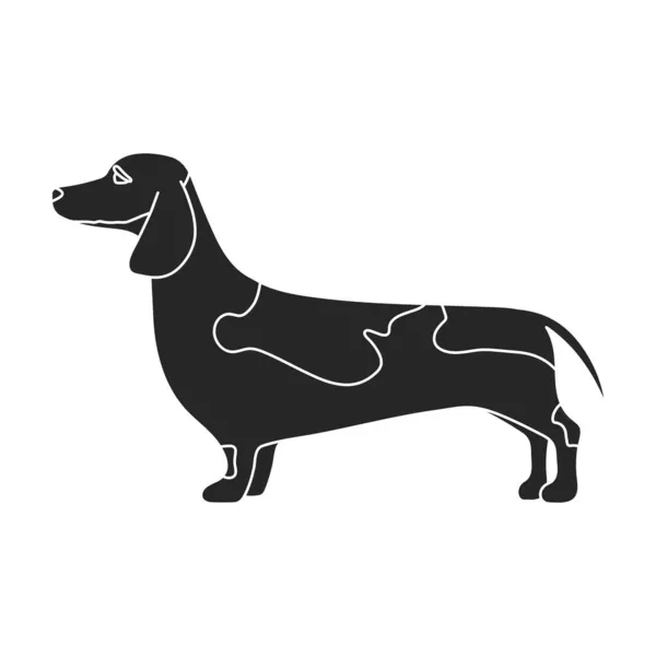 Dachshund vector icon.Black vector icon isolated on white background dachshund. — Stock Vector