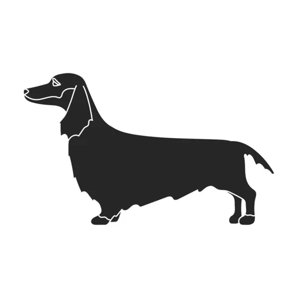 Dachshund vector icon.Black vector icon isolated on white background dachshund. — Stock Vector