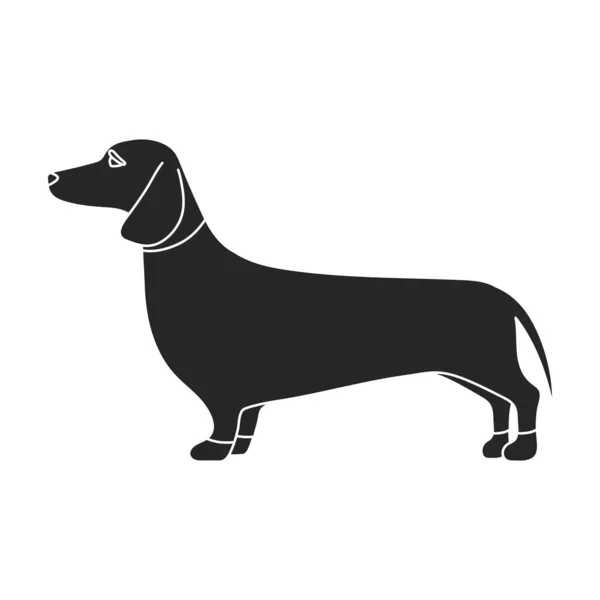 Dachshund vector icon.Black icono vectorial aislado sobre fondo blanco dachshund. — Vector de stock