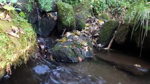 Flusso Autunnale Cascata Scena — Video Stock