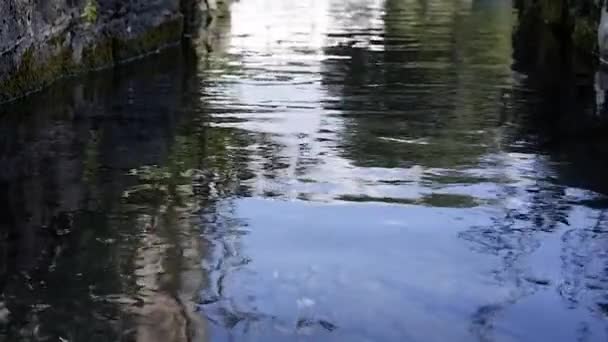 Agua Que Mueve Suavemente Canal — Vídeo de stock