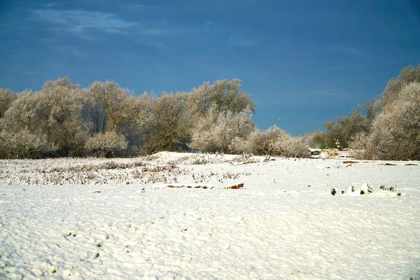 Verschneite Winterlandschaft Und Bäume — Stockfoto
