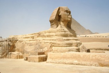 The Sphinx in Giza, Egypt.
