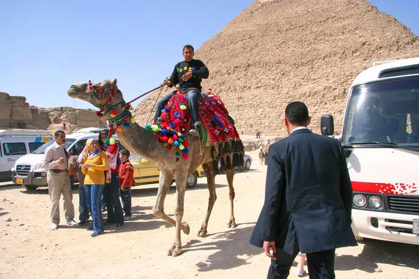 Camel Tourists Front Pyramid Egypt — Stockfoto