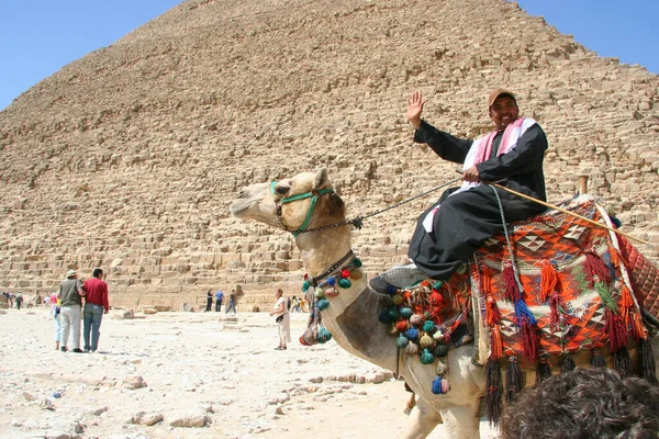 Camel Driver Tourists Giza Egypt — Fotografia de Stock