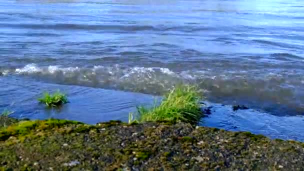 快速流动的洪水 — 图库视频影像