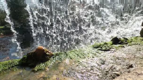 Folha Água Uma Cachoeira — Vídeo de Stock