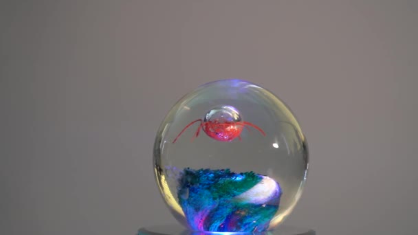 Rotating Colored Glass Paper Weight Orb — Stock Video