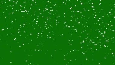 Düşen kar kusursuz bir döngü. Yeşil ekran krom anahtar kar tanelerinde izole edilmiş