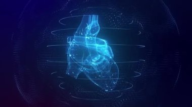 Anatomik olarak doğru mavi dijital insan kalbi dikişsiz döngü ile kardiyak tarama