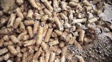 Soaking wooden sawdust pellets with water. Timelapse of pouring water into the cat litter filler or organic fuel. Moist hardwood pellets for mushroom cultivation substrate. 4k 60 fps background