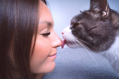 Sevimli kedi yalama ya da kadınların burnunu öpme. Kedi ve sahibi birlikte.