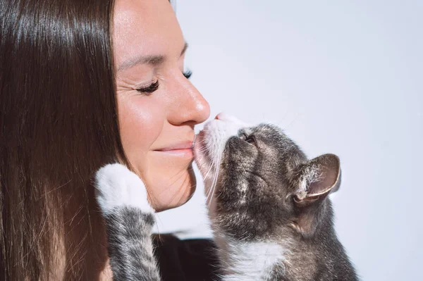 Милий кіт цілує жіночий ніс. Домашні тварини люблять, дружбу, довіру і концепцію способу життя . — стокове фото