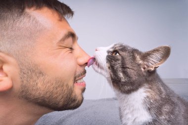 Şirin kedi yalama ya da sahibinin burnunu öpme. Evcil hayvanlar ve insanlar dostluk, sevgi ve güven kavramı