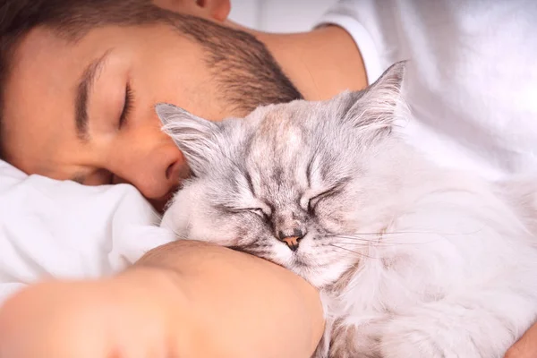 Мужчина спит с котом. Прекрасный кот и владелец. Любовь и доверие между владельцем и котом. — стоковое фото