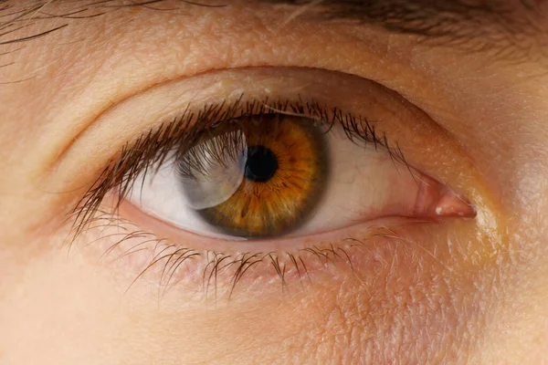 Macro foto de olho marrom jovem. Fecho do olho humano — Fotografia de Stock